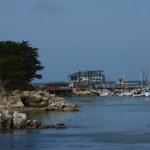 Monterey2016_0085 (April 29, 2016)